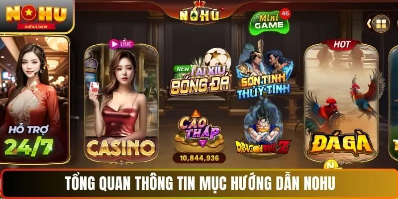 Tổng quan thông tin mục hướng dẫn NOHU